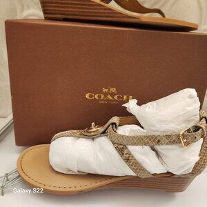 Coach Women's Sandals/Wedges Ingrid Print Snake Q7144 Natural Size Various